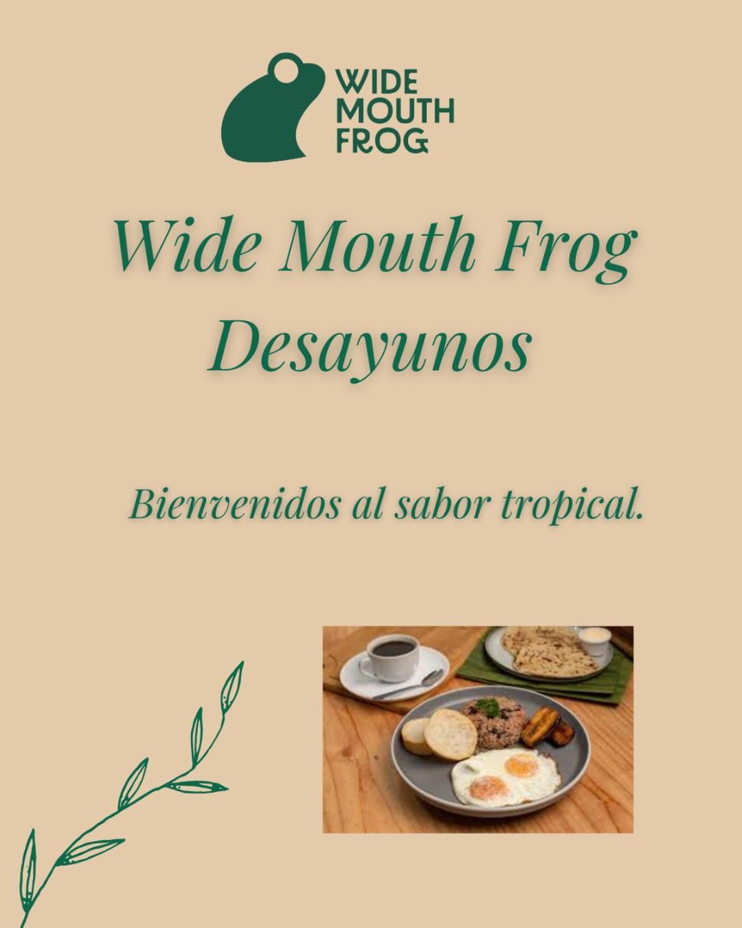 Wide Mouth Frog Quepos Hostel Manuel Antonio Exterior foto