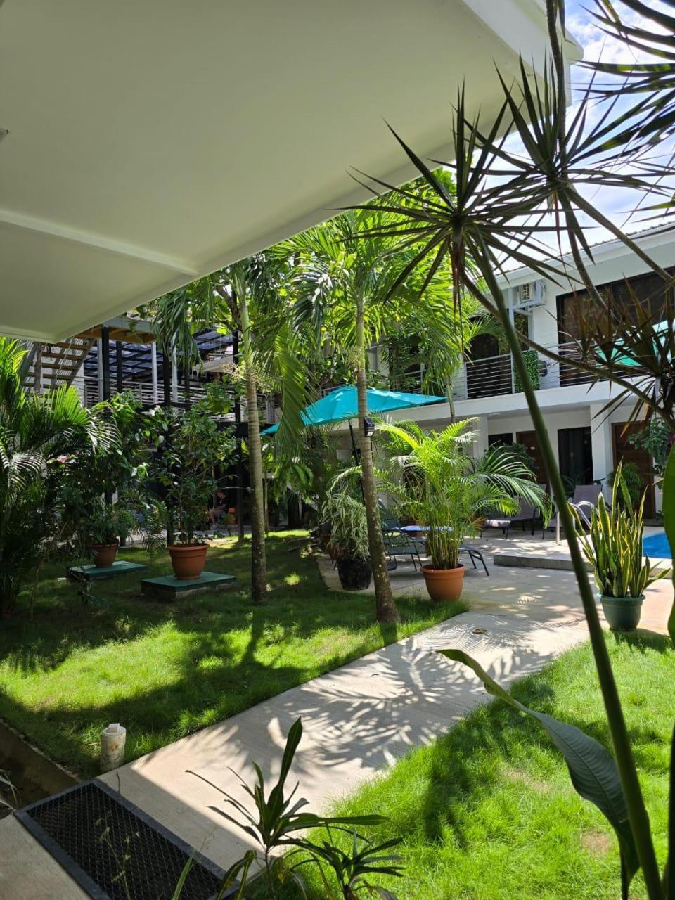 Wide Mouth Frog Quepos Hostel Manuel Antonio Exterior foto