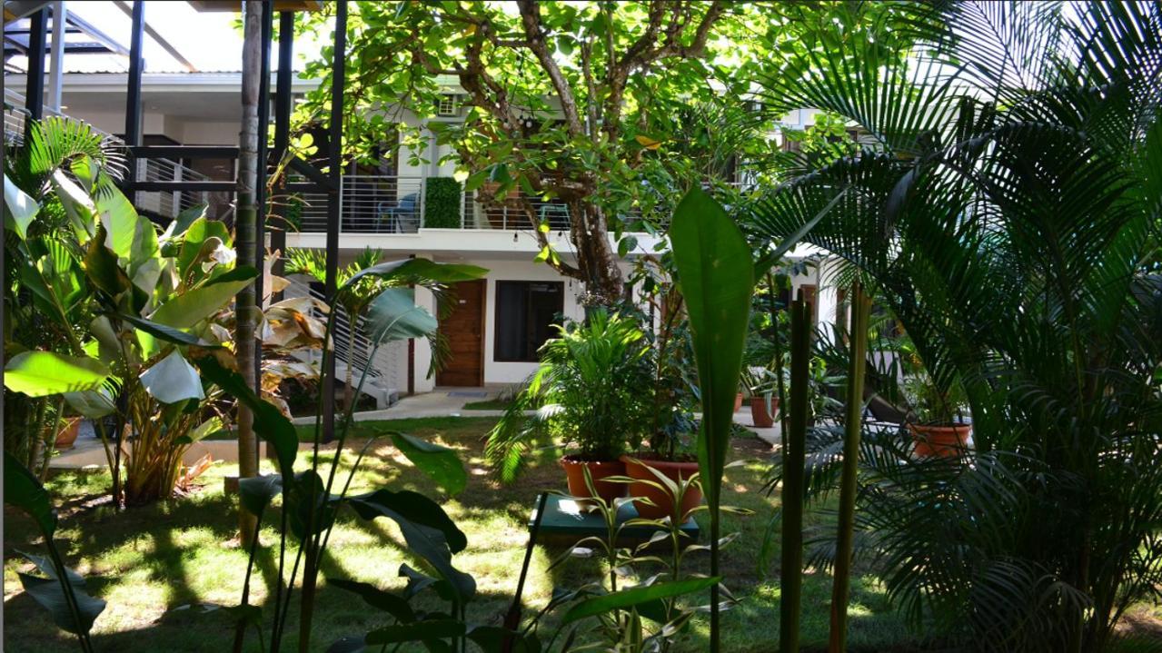 Wide Mouth Frog Quepos Hostel Manuel Antonio Exterior foto
