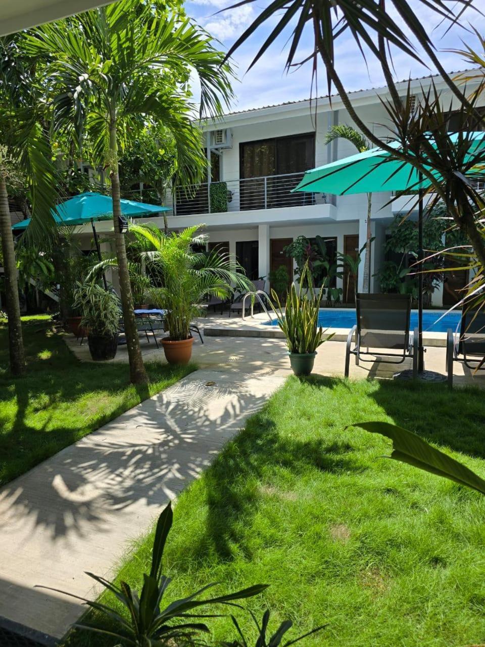 Wide Mouth Frog Quepos Hostel Manuel Antonio Exterior foto