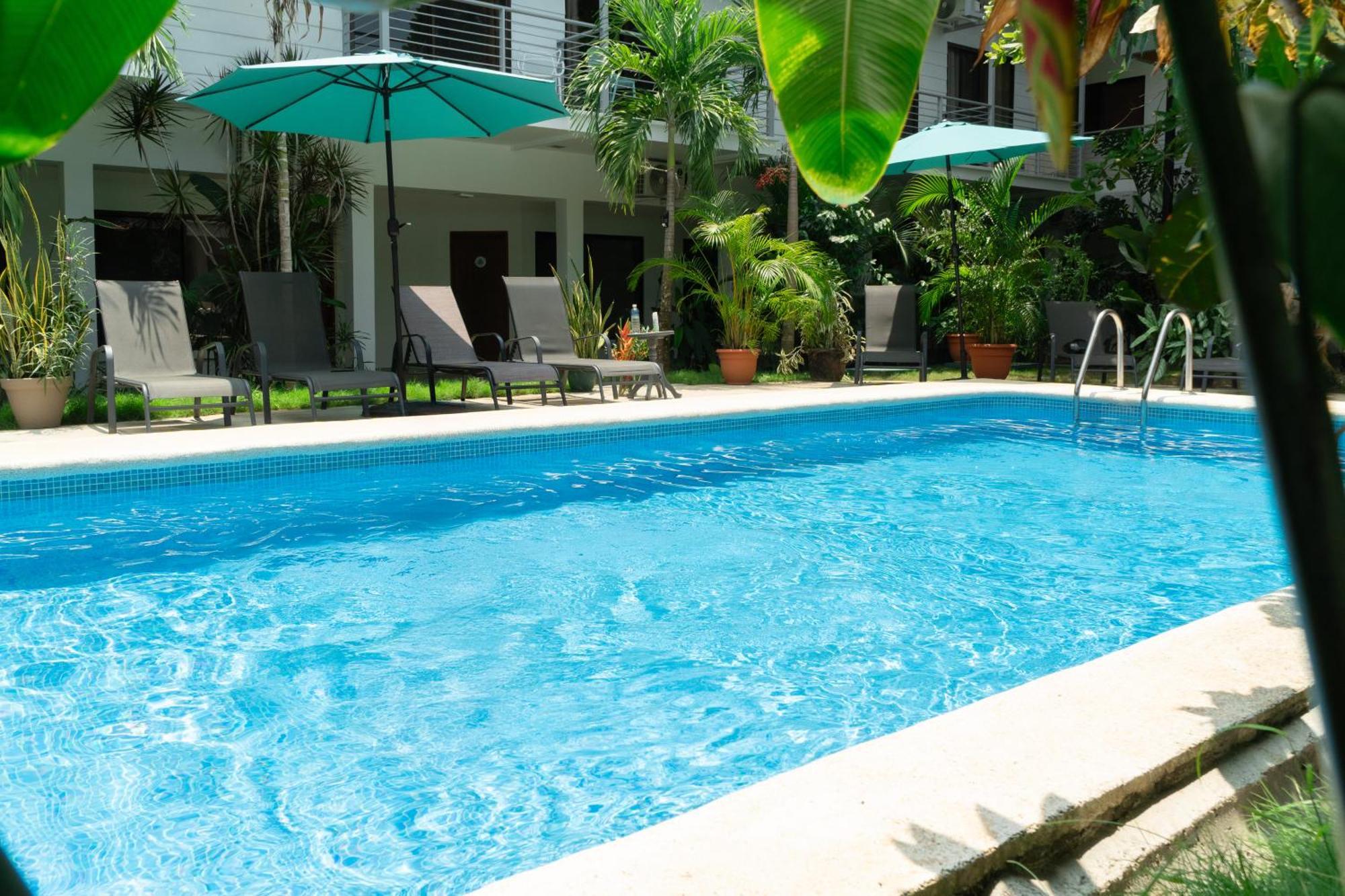 Wide Mouth Frog Quepos Hostel Manuel Antonio Exterior foto